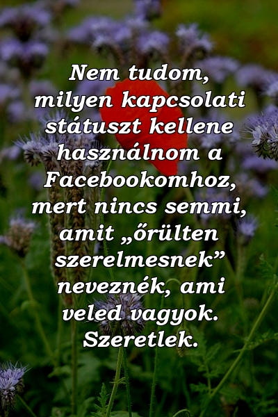 Nem tudom, milyen kapcsolati státuszt kellene használnom a Facebookomhoz, mert nincs semmi, amit „őrülten szerelmesnek” neveznék, ami veled vagyok. Szeretlek.