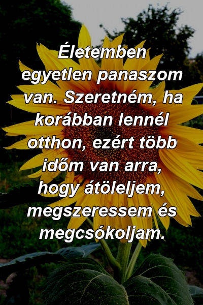 Életemben egyetlen panaszom van. Szeretném, ha korábban lennél otthon, ezért több időm van arra, hogy átöleljem, megszeressem és megcsókoljam.