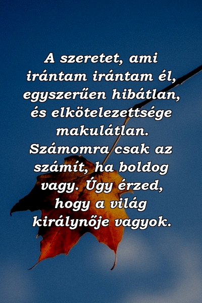 A szeretet, ami irántam irántam él, egyszerűen hibátlan, és elkötelezettsége makulátlan. Számomra csak az számít, ha boldog vagy. Úgy érzed, hogy a világ királynője vagyok.