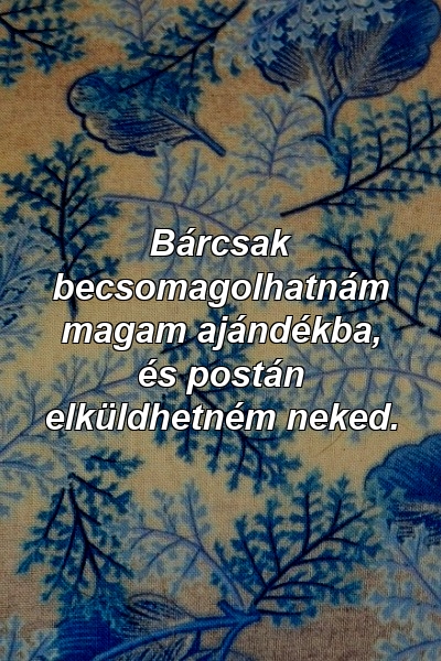 Bárcsak becsomagolhatnám magam ajándékba, és postán elküldhetném neked.