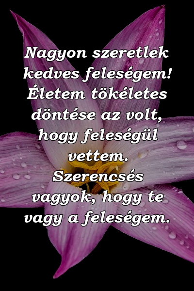 Nagyon szeretlek kedves feleségem! Életem tökéletes döntése az volt, hogy feleségül vettem. Szerencsés vagyok, hogy te vagy a feleségem.