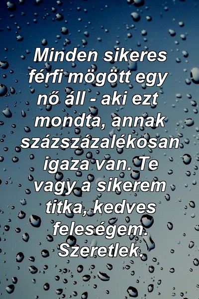 Minden sikeres férfi mögött egy nő áll - aki ezt mondta, annak százszázalékosan igaza van. Te vagy a sikerem titka, kedves feleségem. Szeretlek.