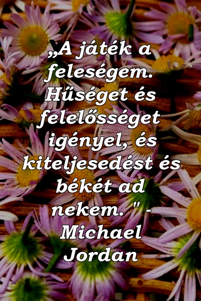 „A játék a feleségem. Hűséget és felelősséget igényel, és kiteljesedést és békét ad nekem. " - Michael Jordan