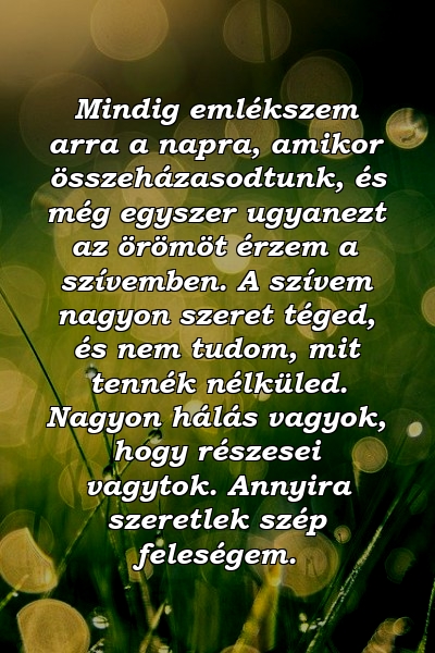 Mindig emlékszem arra a napra, amikor összeházasodtunk, és még egyszer ugyanezt az örömöt érzem a szívemben. A szívem nagyon szeret téged, és nem tudom, mit tennék nélküled. Nagyon hálás vagyok, hogy részesei vagytok. Annyira szeretlek szép feleségem.