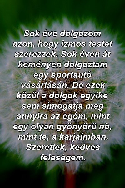 Sok éve dolgozom azon, hogy izmos testet szerezzek. Sok éven át keményen dolgoztam egy sportautó vásárlásán. De ezek közül a dolgok egyike sem simogatja meg annyira az egóm, mint egy olyan gyönyörű nő, mint te, a karjaimban. Szeretlek, kedves feleségem.