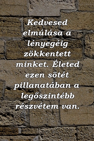 Kedvesed elmúlása a lényegéig zökkentett minket. Életed ezen sötét pillanatában a legőszintébb részvétem van.