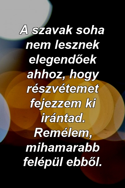 A szavak soha nem lesznek elegendőek ahhoz, hogy részvétemet fejezzem ki irántad. Remélem, mihamarabb felépül ebből.