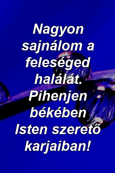 Nagyon sajnálom a feleséged halálát. Pihenjen békében Isten szerető karjaiban!