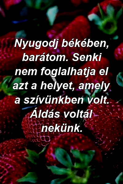 Nyugodj békében, barátom. Senki nem foglalhatja el azt a helyet, amely a szívünkben volt. Áldás voltál nekünk.