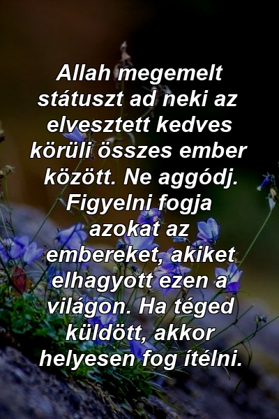 Allah megemelt státuszt ad neki az elvesztett kedves körüli összes ember között. Ne aggódj. Figyelni fogja azokat az embereket, akiket elhagyott ezen a világon. Ha téged küldött, akkor helyesen fog ítélni.