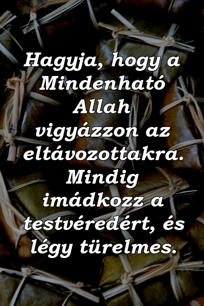 Hagyja, hogy a Mindenható Allah vigyázzon az eltávozottakra. Mindig imádkozz a testvéredért, és légy türelmes.