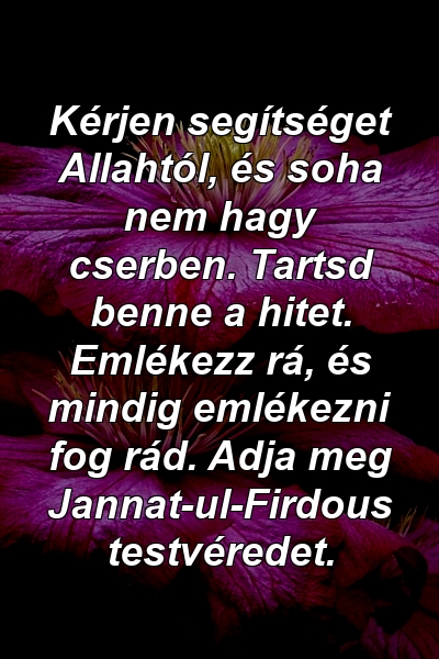 Kérjen segítséget Allahtól, és soha nem hagy cserben. Tartsd benne a hitet. Emlékezz rá, és mindig emlékezni fog rád. Adja meg Jannat-ul-Firdous testvéredet.