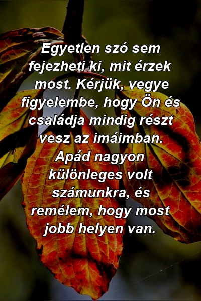 Egyetlen szó sem fejezheti ki, mit érzek most. Kérjük, vegye figyelembe, hogy Ön és családja mindig részt vesz az imáimban. Apád nagyon különleges volt számunkra, és remélem, hogy most jobb helyen van.