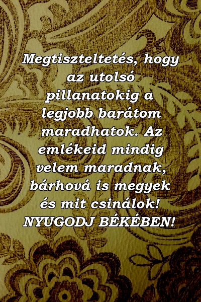 Megtiszteltetés, hogy az utolsó pillanatokig a legjobb barátom maradhatok. Az emlékeid mindig velem maradnak, bárhová is megyek és mit csinálok! NYUGODJ BÉKÉBEN!