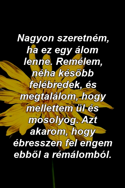 Nagyon szeretném, ha ez egy álom lenne. Remélem, néha később felébredek, és megtalálom, hogy mellettem ül és mosolyog. Azt akarom, hogy ébresszen fel engem ebből a rémálomból.