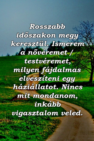 Rosszabb időszakon megy keresztül. Ismerem a nővéremet / testvéremet, milyen fájdalmas elveszíteni egy háziállatot. Nincs mit mondanom, inkább vigasztalom veled.