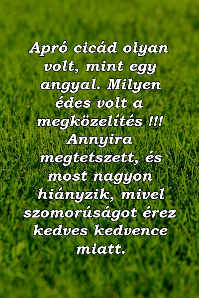 Apró cicád olyan volt, mint egy angyal. Milyen édes volt a megközelítés !!! Annyira megtetszett, és most nagyon hiányzik, mivel szomorúságot érez kedves kedvence miatt.