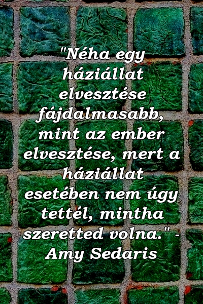 "Néha egy háziállat elvesztése fájdalmasabb, mint az ember elvesztése, mert a háziállat esetében nem úgy tettél, mintha szeretted volna." - Amy Sedaris