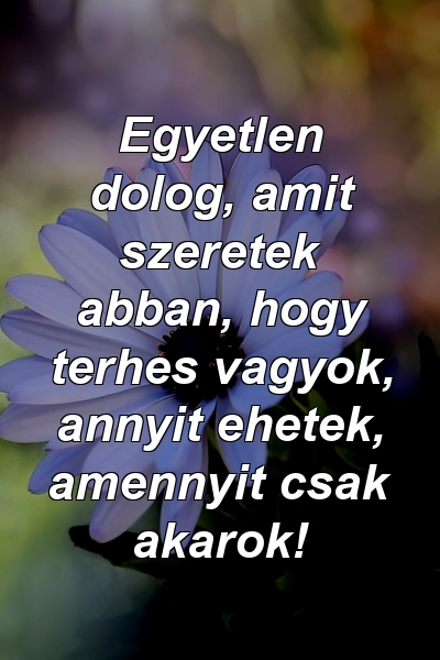 Egyetlen dolog, amit szeretek abban, hogy terhes vagyok, annyit ehetek, amennyit csak akarok!