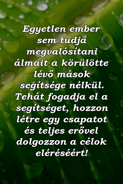 Egyetlen ember sem tudja megvalósítani álmait a körülötte lévő mások segítsége nélkül. Tehát fogadja el a segítséget, hozzon létre egy csapatot és teljes erővel dolgozzon a célok eléréséért!