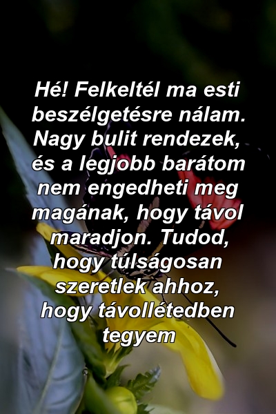 Hé! Felkeltél ma esti beszélgetésre nálam. Nagy bulit rendezek, és a legjobb barátom nem engedheti meg magának, hogy távol maradjon. Tudod, hogy túlságosan szeretlek ahhoz, hogy távollétedben tegyem