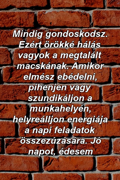 Mindig gondoskodsz. Ezért örökké hálás vagyok a megtalált macskának. Amikor elmész ebédelni, pihenjen vagy szundikáljon a munkahelyén, helyreálljon energiája a napi feladatok összezúzására. Jó napot, édesem