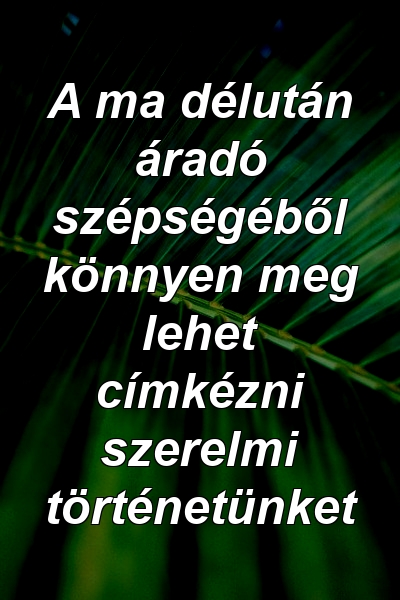 A ma délután áradó szépségéből könnyen meg lehet címkézni szerelmi történetünket