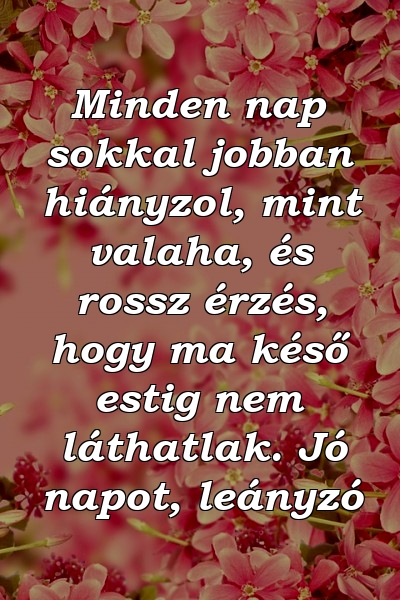 Minden nap sokkal jobban hiányzol, mint valaha, és rossz érzés, hogy ma késő estig nem láthatlak. Jó napot, leányzó