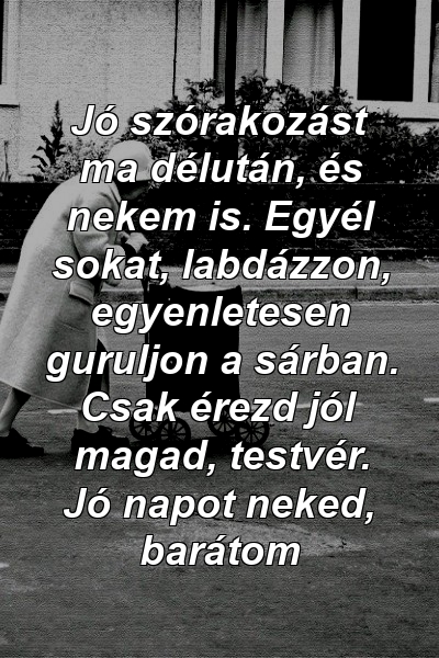 Jó szórakozást ma délután, és nekem is. Egyél sokat, labdázzon, egyenletesen guruljon a sárban. Csak érezd jól magad, testvér. Jó napot neked, barátom