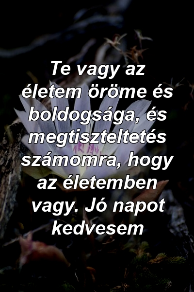 Te vagy az életem öröme és boldogsága, és megtiszteltetés számomra, hogy az életemben vagy. Jó napot kedvesem