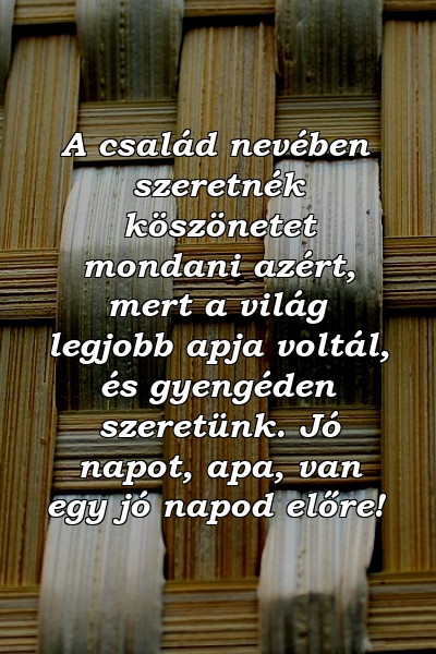 A család nevében szeretnék köszönetet mondani azért, mert a világ legjobb apja voltál, és gyengéden szeretünk. Jó napot, apa, van egy jó napod előre!