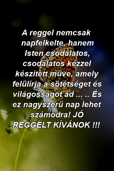 A reggel nemcsak napfelkelte, hanem Isten csodálatos, csodálatos kézzel készített műve, amely felülírja a sötétséget és világosságot ad ... .. És ez nagyszerű nap lehet számodra! JÓ REGGELT KÍVÁNOK !!!