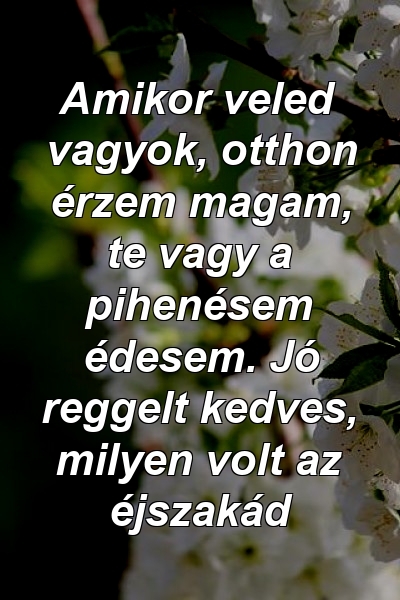 Amikor veled vagyok, otthon érzem magam, te vagy a pihenésem édesem. Jó reggelt kedves, milyen volt az éjszakád