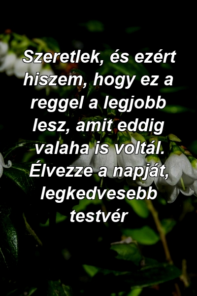 Szeretlek, és ezért hiszem, hogy ez a reggel a legjobb lesz, amit eddig valaha is voltál. Élvezze a napját, legkedvesebb testvér