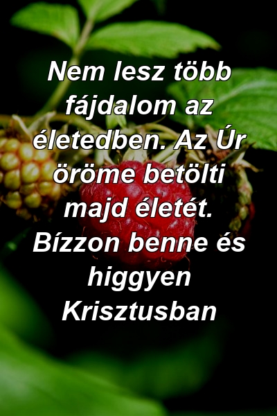 Nem lesz több fájdalom az életedben. Az Úr öröme betölti majd életét. Bízzon benne és higgyen Krisztusban