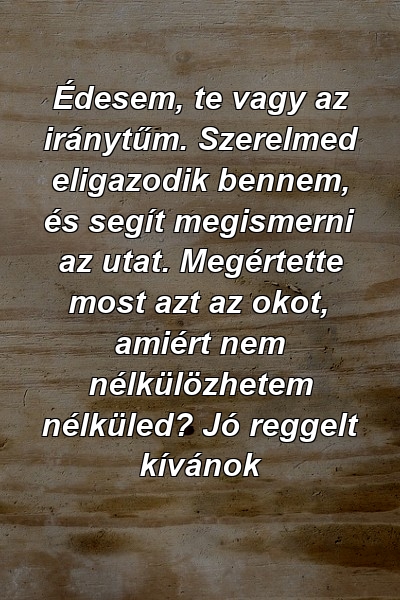 Édesem, te vagy az iránytűm. Szerelmed eligazodik bennem, és segít megismerni az utat. Megértette most azt az okot, amiért nem nélkülözhetem nélküled? Jó reggelt kívánok