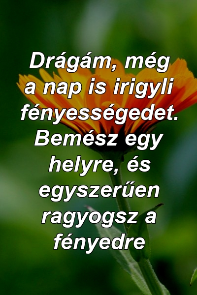 Drágám, még a nap is irigyli fényességedet. Bemész egy helyre, és egyszerűen ragyogsz a fényedre