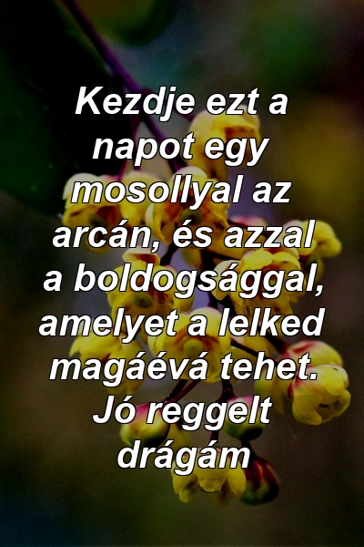 Kezdje ezt a napot egy mosollyal az arcán, és azzal a boldogsággal, amelyet a lelked magáévá tehet. Jó reggelt drágám