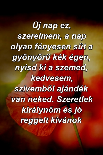 Új nap ez, szerelmem, a nap olyan fényesen süt a gyönyörű kék ​​égen, nyisd ki a szemed, kedvesem, szívemből ajándék van neked. Szeretlek királynőm és jó reggelt kívánok