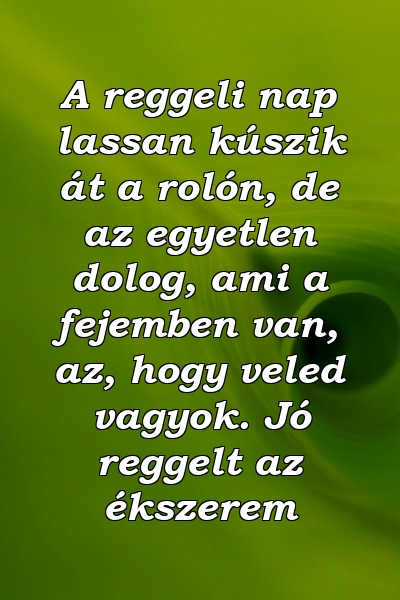 A reggeli nap lassan kúszik át a rolón, de az egyetlen dolog, ami a fejemben van, az, hogy veled vagyok. Jó reggelt az ékszerem