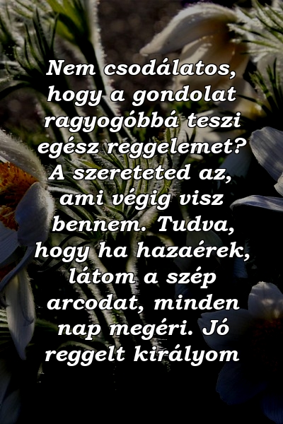 Nem csodálatos, hogy a gondolat ragyogóbbá teszi egész reggelemet? A szereteted az, ami végig visz bennem. Tudva, hogy ha hazaérek, látom a szép arcodat, minden nap megéri. Jó reggelt királyom