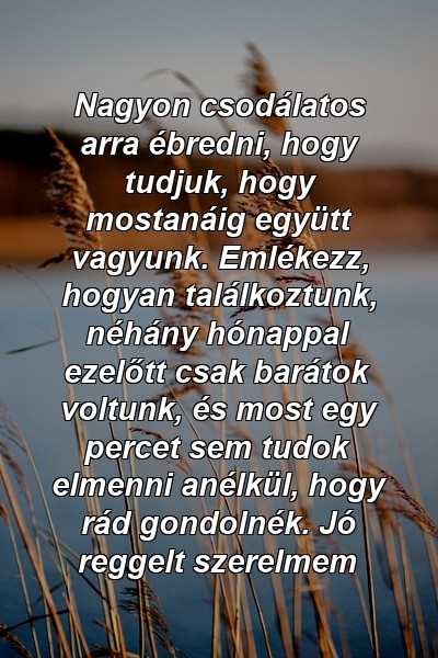 Nagyon csodálatos arra ébredni, hogy tudjuk, hogy mostanáig együtt vagyunk. Emlékezz, hogyan találkoztunk, néhány hónappal ezelőtt csak barátok voltunk, és most egy percet sem tudok elmenni anélkül, hogy rád gondolnék. Jó reggelt szerelmem