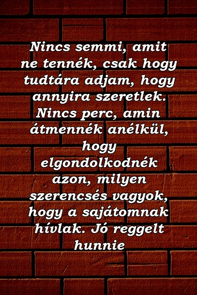 Nincs semmi, amit ne tennék, csak hogy tudtára adjam, hogy annyira szeretlek. Nincs perc, amin átmennék anélkül, hogy elgondolkodnék azon, milyen szerencsés vagyok, hogy a sajátomnak hívlak. Jó reggelt hunnie