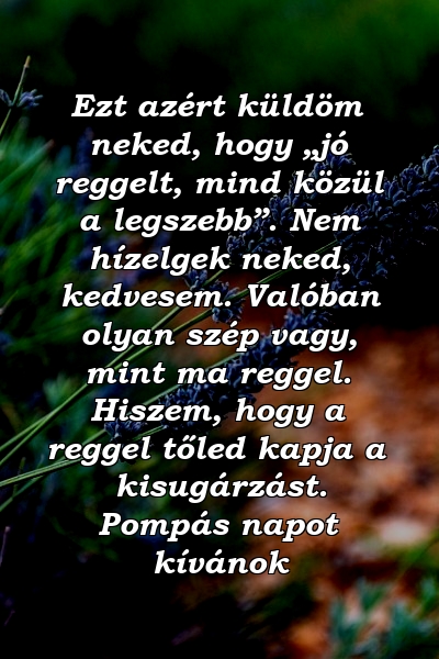 Ezt azért küldöm neked, hogy „jó reggelt, mind közül a legszebb”. Nem hízelgek neked, kedvesem. Valóban olyan szép vagy, mint ma reggel. Hiszem, hogy a reggel tőled kapja a kisugárzást. Pompás napot kívánok