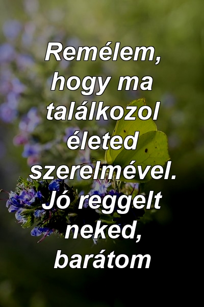 Remélem, hogy ma találkozol életed szerelmével. Jó reggelt neked, barátom