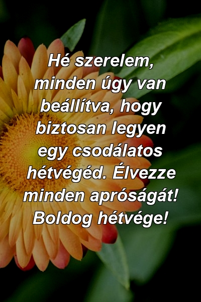 Hé szerelem, minden úgy van beállítva, hogy biztosan legyen egy csodálatos hétvégéd. Élvezze minden apróságát! Boldog hétvége!