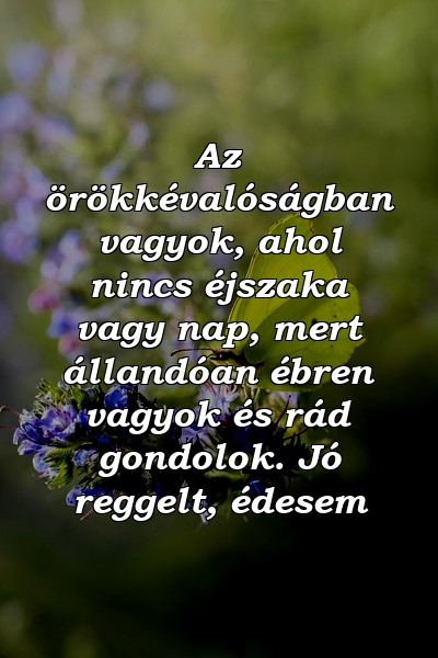 Az örökkévalóságban vagyok, ahol nincs éjszaka vagy nap, mert állandóan ébren vagyok és rád gondolok. Jó reggelt, édesem