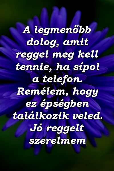 A legmenőbb dolog, amit reggel meg kell tennie, ha sípol a telefon. Remélem, hogy ez épségben találkozik veled. Jó reggelt szerelmem