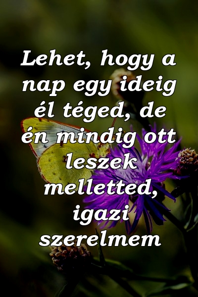 Lehet, hogy a nap egy ideig él téged, de én mindig ott leszek melletted, igazi szerelmem