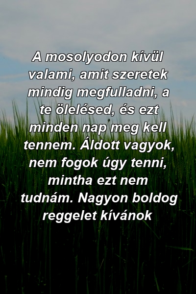 A mosolyodon kívül valami, amit szeretek mindig megfulladni, a te ölelésed, és ezt minden nap meg kell tennem. Áldott vagyok, nem fogok úgy tenni, mintha ezt nem tudnám. Nagyon boldog reggelet kívánok